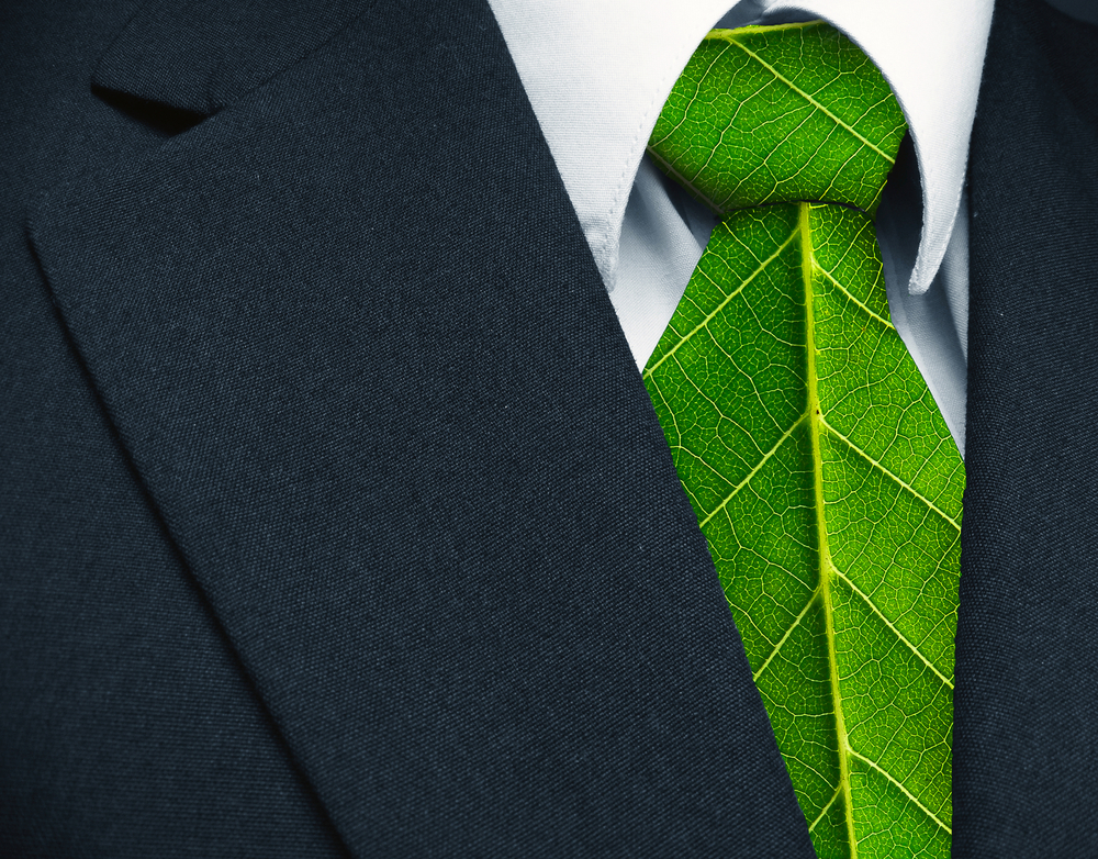 Business e green economy: come affrontare la sfida della sostenibilità