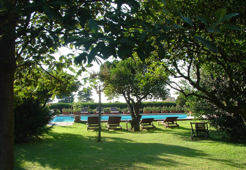 Il giardino che circonda la piscina Il giardino che circonda la piscina