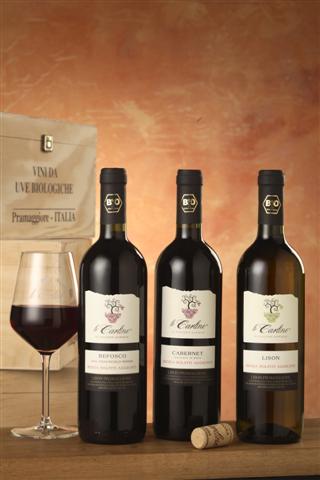 vini Le Carline senza solfiti aggiunti vini Le Carline senza solfiti aggiunti