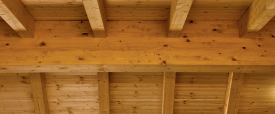 tetto il legno lamellare. tetto il legno lamellare.
