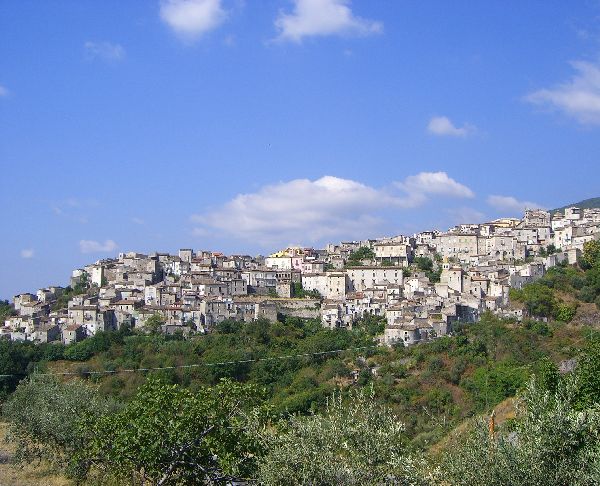 SARACENA ubicazione aziendale SARACENA ubicazione aziendale
