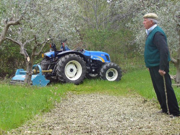 lavorazione uliveti lavorazione uliveti