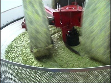 fase di molitura olive con macine in pietra fase di molitura olive con macine in pietra