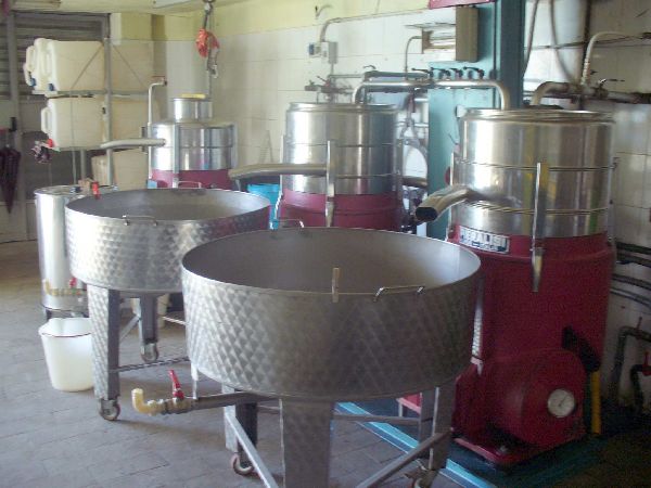 fase di separazione olio fase di separazione olio