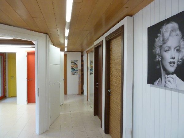 esposizione a Buttrio Udine esposizione a Buttrio Udine